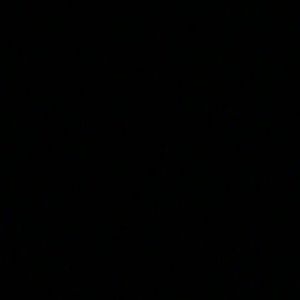 Meet your Posher, Reyna